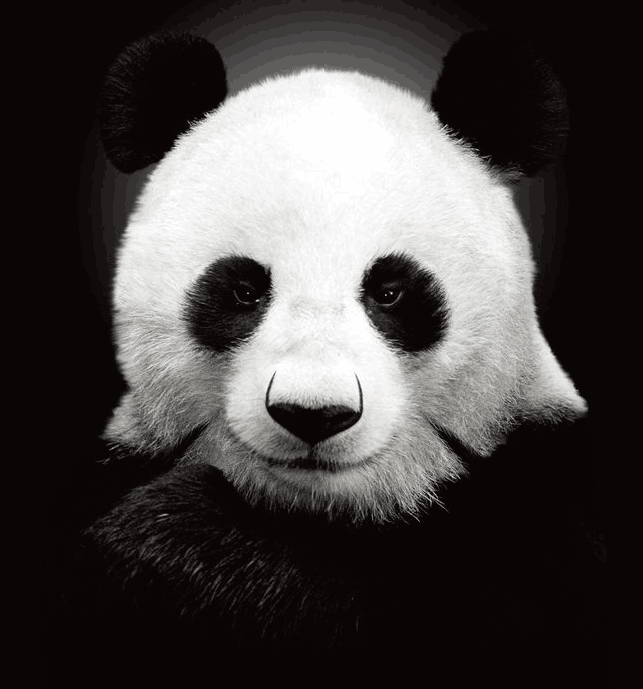 QQ图片20200413003813.png